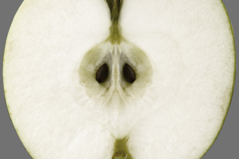 pepins_apple.jpg pepins_apple.jpg