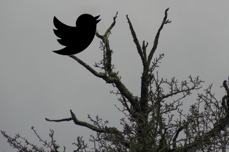 Large140114.jpg Large140114.jpg