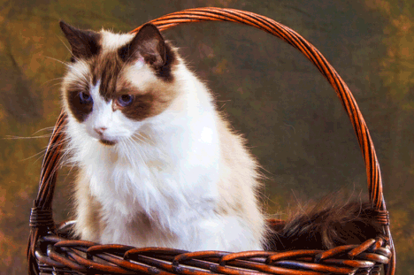 Image_Jour_010914.png Image_Jour_010914.png