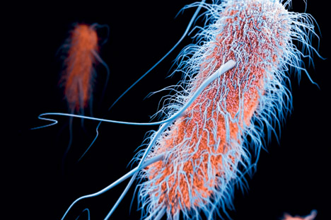 Large05042016.jpg Large05042016.jpg