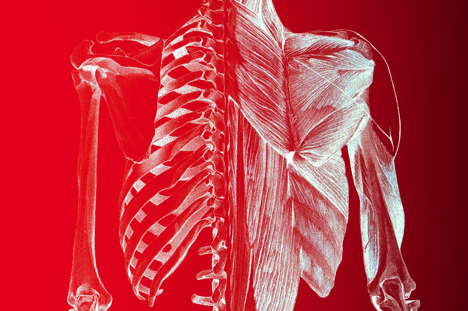 Large080416.jpg Large080416.jpg