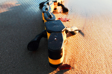 Large20151021.jpg Large20151021.jpg