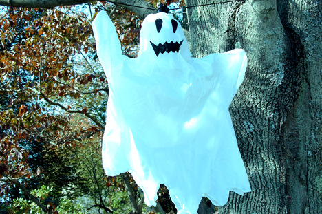 MartinGhost.jpg MartinGhost.jpg